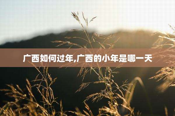 广西如何过年,广西的小年是哪一天