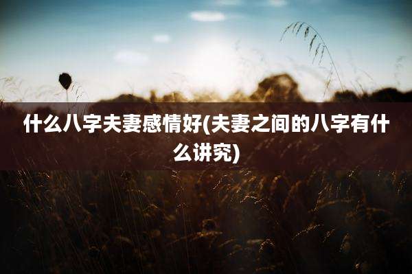 什么八字夫妻感情好(夫妻之间的八字有什么讲究)