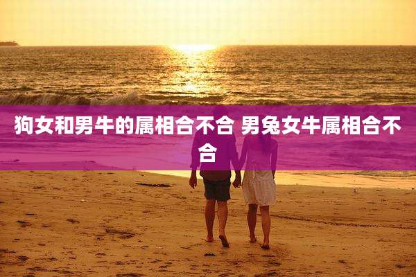 狗女和男牛的属相合不合 男兔女牛属相合不合