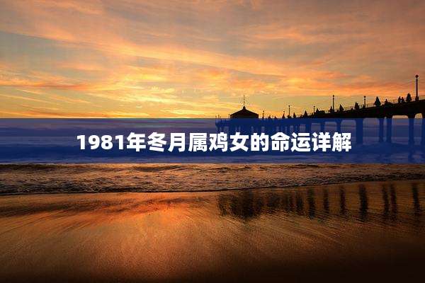 1981年冬月属鸡女的命运详解