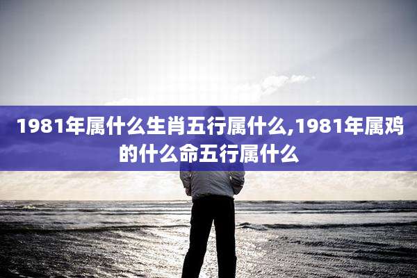1981年属什么生肖五行属什么,1981年属鸡的什么命五行属什么