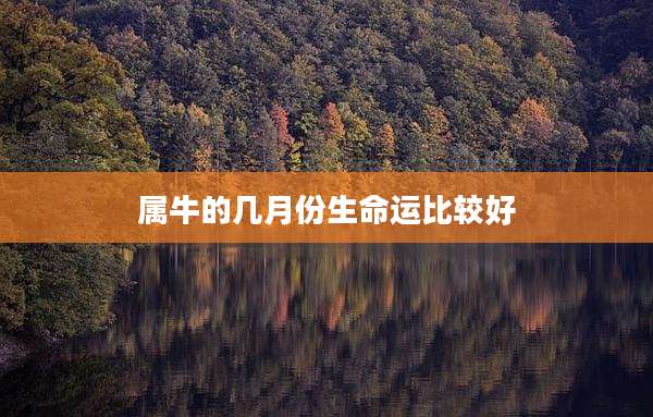 属牛的几月份生命运比较好