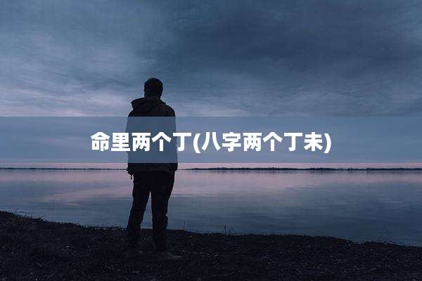 命里两个丁(八字两个丁未)