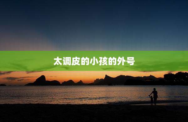 太调皮的小孩的外号