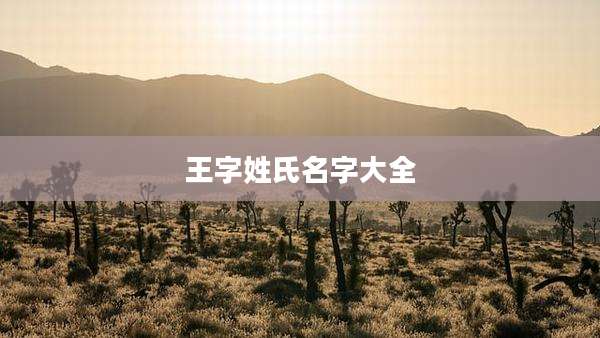 王字姓氏名字大全