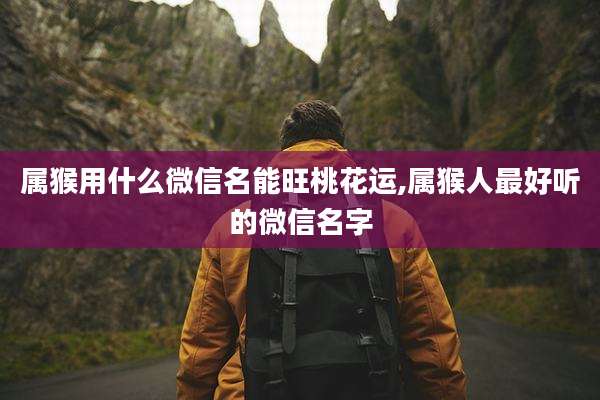 属猴用什么微信名能旺桃花运,属猴人最好听的微信名字