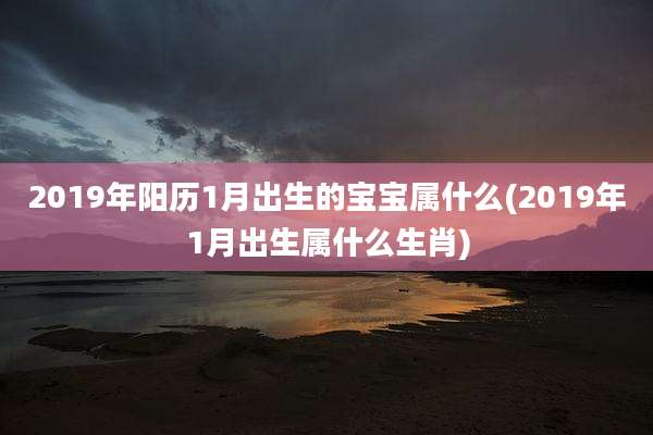 2019年阳历1月出生的宝宝属什么(2019年1月出生属什么生肖)