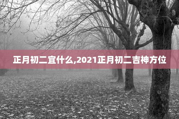 正月初二宜什么,2021正月初二吉神方位