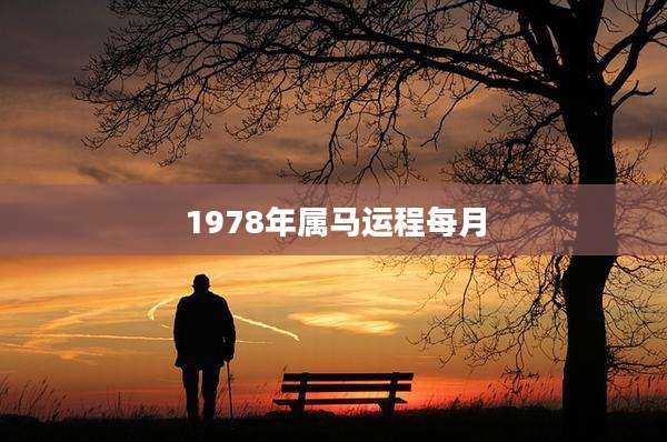 1978年属马运程每月