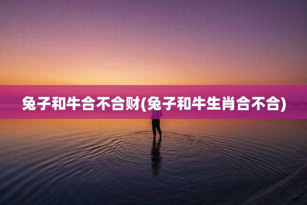 兔子和牛合不合财(兔子和牛生肖合不合)
