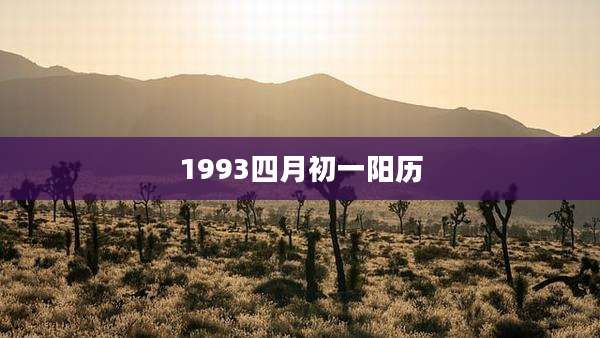 1993四月初一阳历