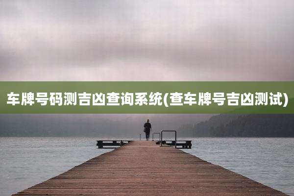 车牌号码测吉凶查询系统(查车牌号吉凶测试)