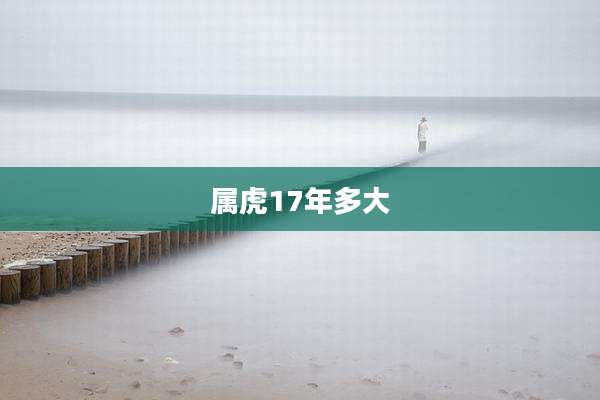 属虎17年多大