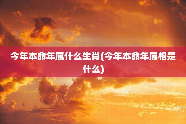 今年本命年属什么生肖(今年本命年属相是什么)