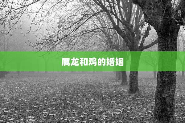 属龙和鸡的婚姻