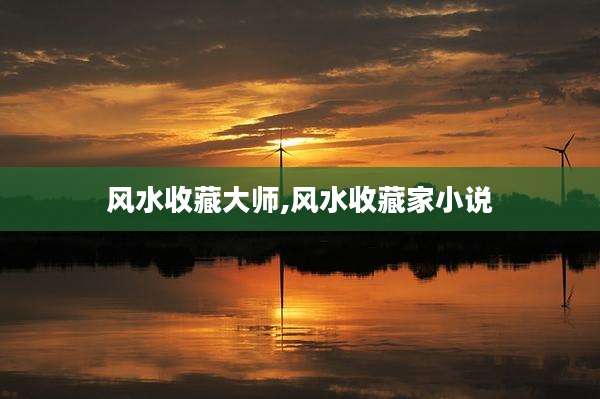 风水收藏大师,风水收藏家小说