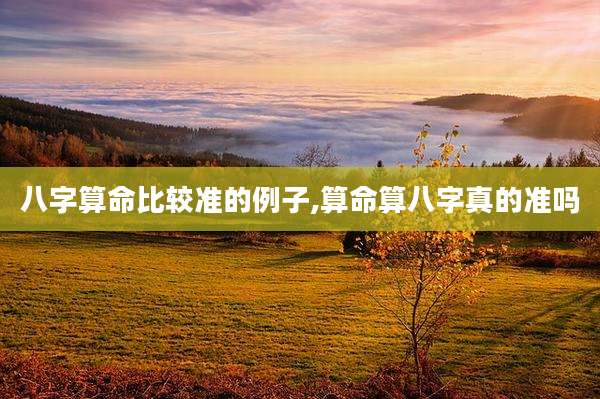 八字算命比较准的例子,算命算八字真的准吗