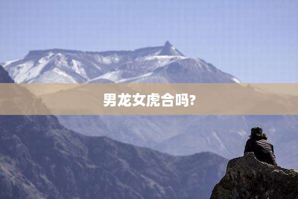 男龙女虎合吗?