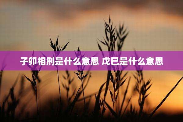 子卯相刑是什么意思 戊巳是什么意思