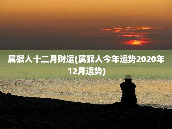属猴人十二月财运(属猴人今年运势2020年12月运势)