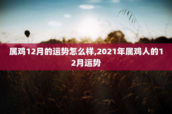 属鸡12月的运势怎么样,2021年属鸡人的12月运势