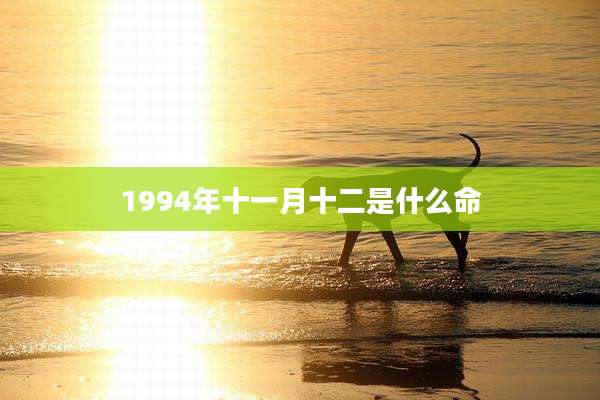 1994年十一月十二是什么命