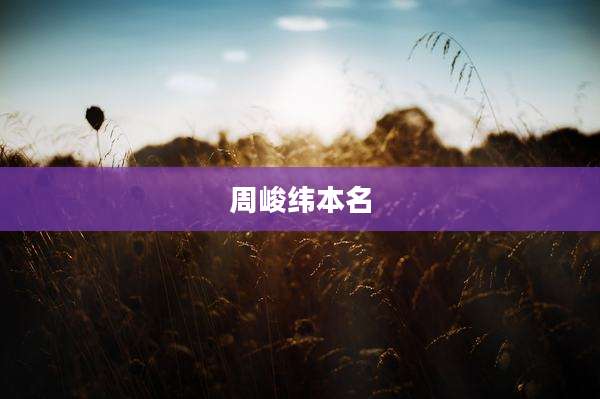 周峻纬本名