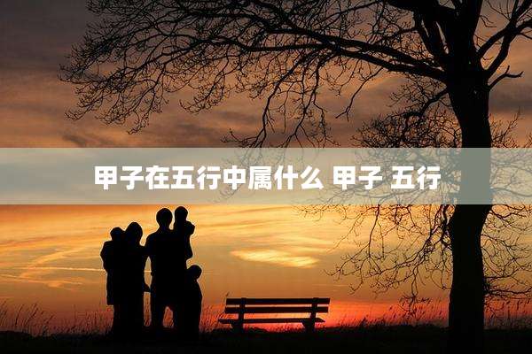 甲子在五行中属什么 甲子 五行