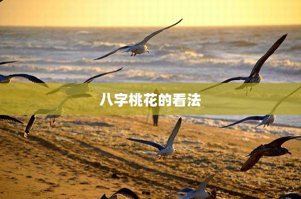 八字桃花的看法
