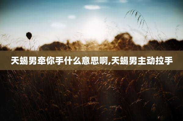 天蝎男牵你手什么意思啊,天蝎男主动拉手