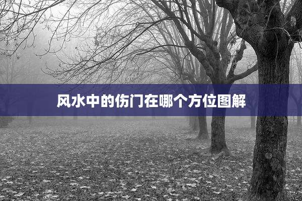 风水中的伤门在哪个方位图解