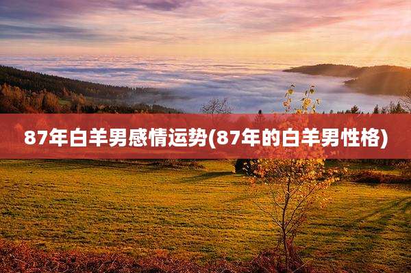 87年白羊男感情运势(87年的白羊男性格)