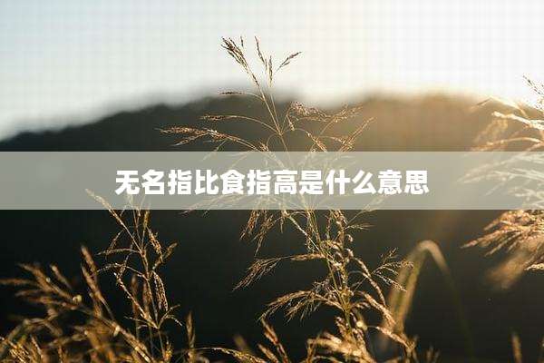 无名指比食指高是什么意思