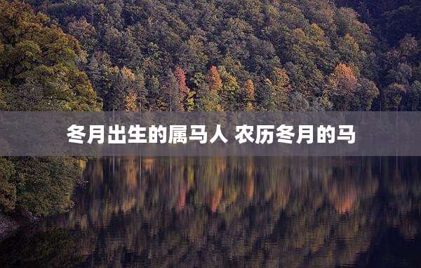 冬月出生的属马人 农历冬月的马