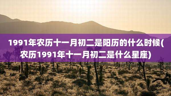 1991年农历十一月初二是阳历的什么时候(农历1991年十一月初二是什么星座)