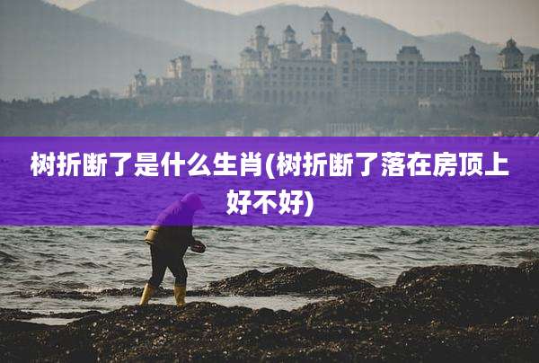 树折断了是什么生肖(树折断了落在房顶上好不好)