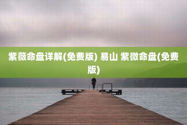 紫薇命盘详解(免费版) 易山 紫微命盘(免费版)