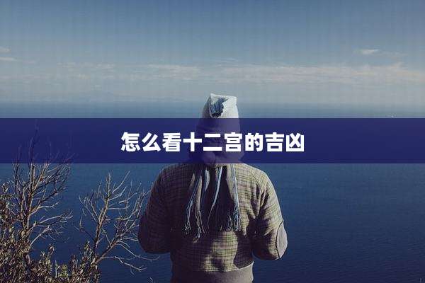 怎么看十二宫的吉凶