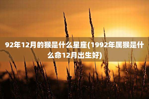 92年12月的猴是什么星座(1992年属猴是什么命12月出生好)