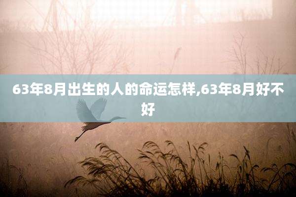 63年8月出生的人的命运怎样,63年8月好不好