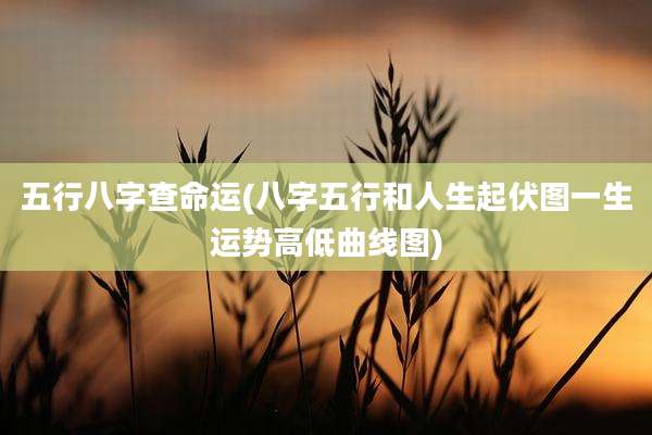 五行八字查命运(八字五行和人生起伏图一生运势高低曲线图)
