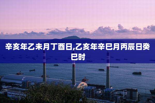 辛亥年乙未月丁酉日,乙亥年辛巳月丙辰日癸巳时