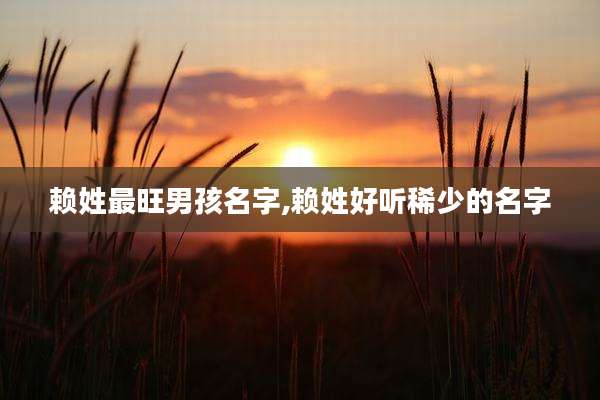 赖姓最旺男孩名字,赖姓好听稀少的名字
