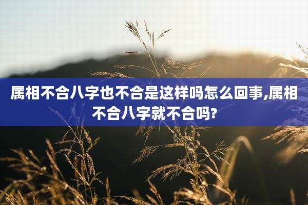 属相不合八字也不合是这样吗怎么回事,属相不合八字就不合吗?