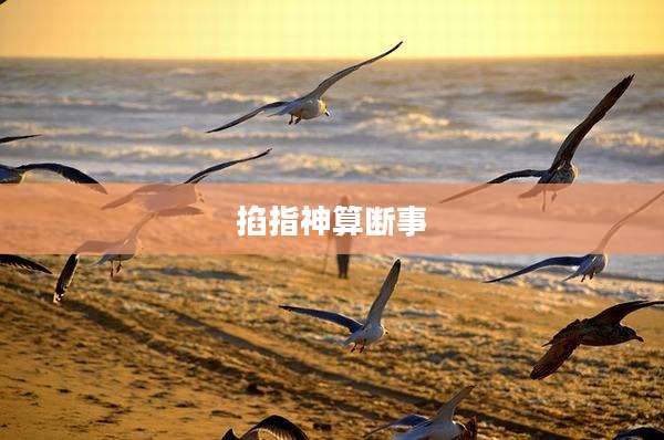 掐指神算断事