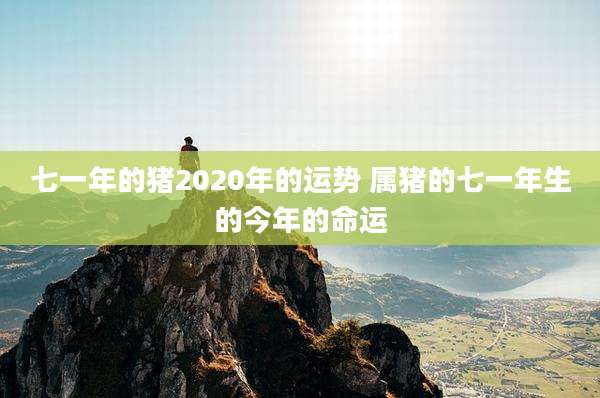 七一年的猪2020年的运势 属猪的七一年生的今年的命运