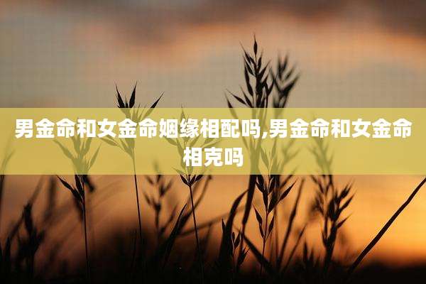 男金命和女金命姻缘相配吗,男金命和女金命相克吗