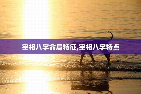 宰相八字命局特征,宰相八字特点