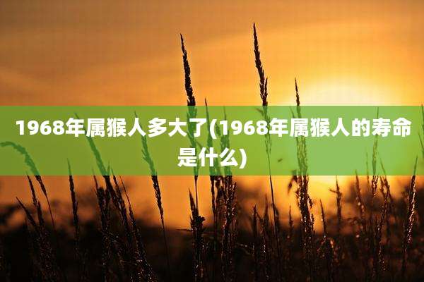 1968年属猴人多大了(1968年属猴人的寿命是什么)