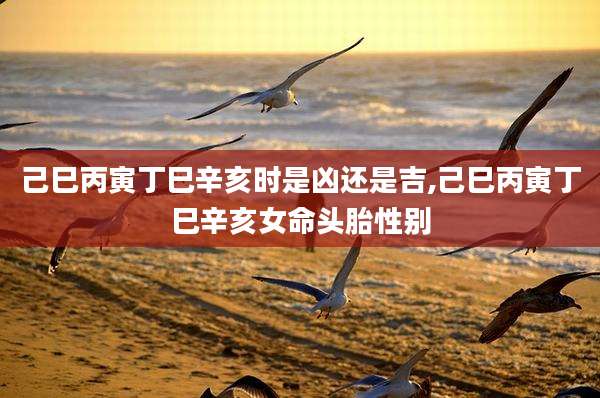 己巳丙寅丁巳辛亥时是凶还是吉,己巳丙寅丁巳辛亥女命头胎性别